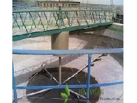 ����ؔ���C