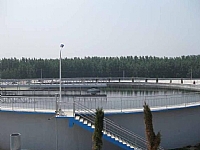 ݗ��ʽ������