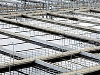 ΢늽������