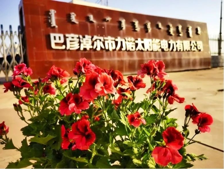 1749430191674877.jpg 14.jpg